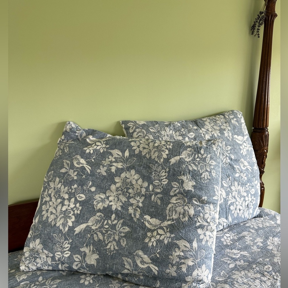 Set of 2 Linden Street Euro Shams blue floral/birds
Gently used (guest room)